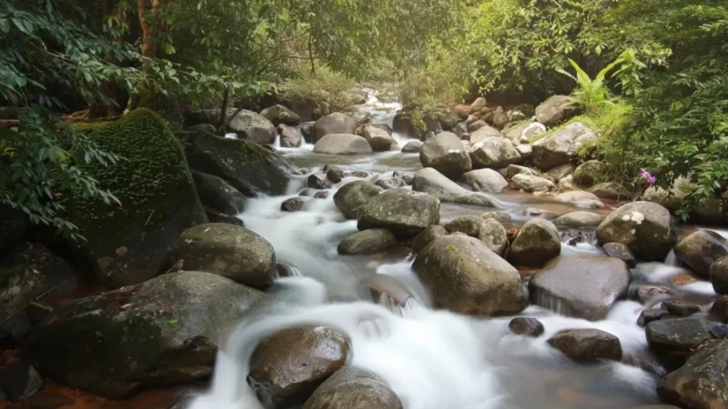 Namtok Phlio National Park(1)