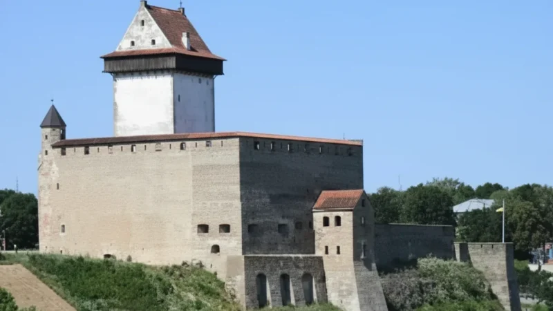 Narva Muse(1)