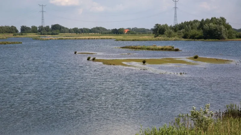 Nationaal_Park_Nieuw_Land_03