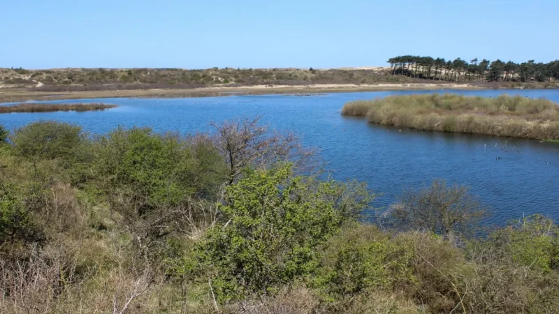 Nationaal_Park_Zuid-Kennemerland_03