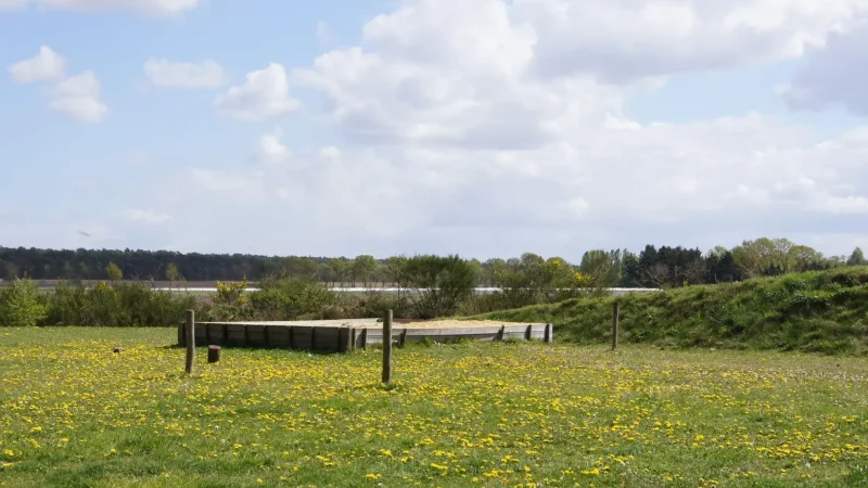 National_Park_De_Meinweg_05