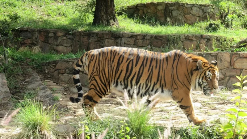 National_Zoological_Gardens_тАУ_Large_city_zoo_02