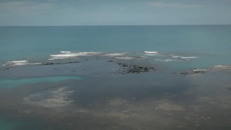 Natural Pools – Clear shallow waters(1)