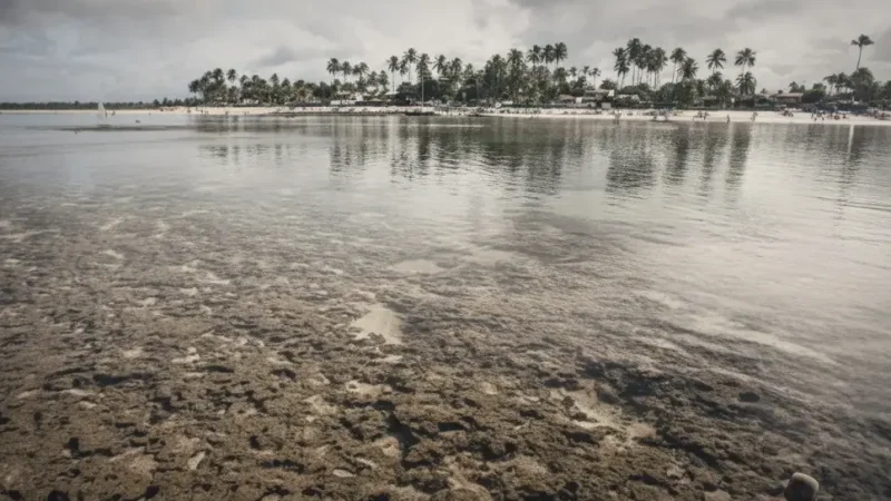 Natural Pools – Clear shallow waters(2)