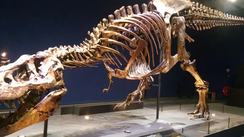 Naturalis_Biodiversity_Center_04