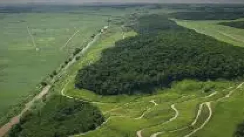 Nature Green Belt – A greenery-filled relaxation(2)