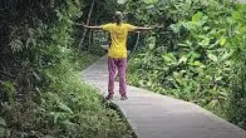 Nature Path Walk(4)