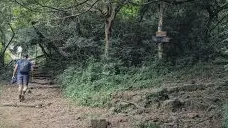 Nature Path – Greenery-filled short walk(1)