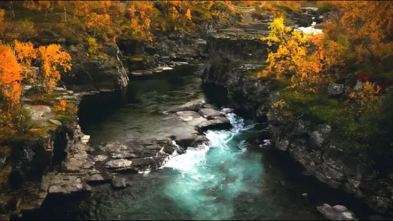 Nature Photography Areas(3)