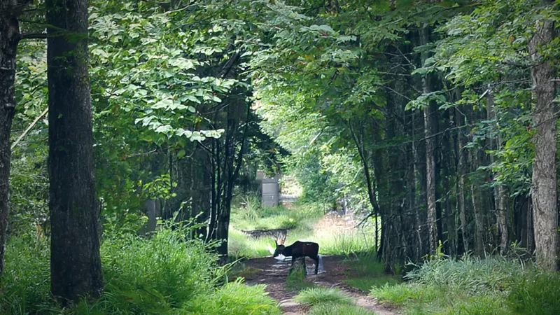 Nature Photography Spots(1)