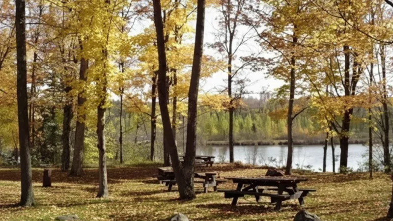 Nature Picnic Spots(1)