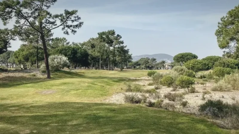 Nature Reserve Areas – Protected dunes and wildlife(6)