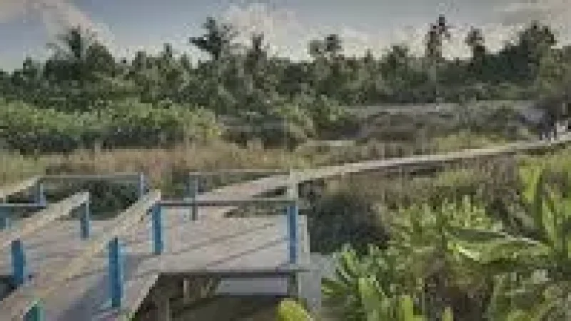 Nature Trail Path – Short greenery-filled wa(5)