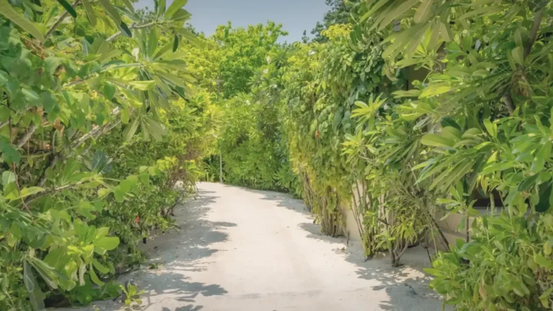 Nature Trail(5)