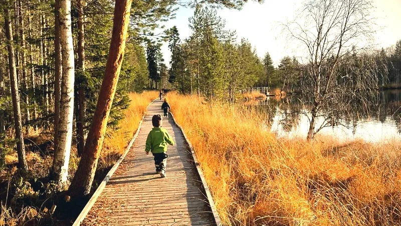 Nature Trails Around Luleå – Forest & coastal paths(2)