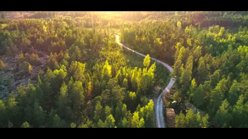 Nature Trails Around Rättvik(6)