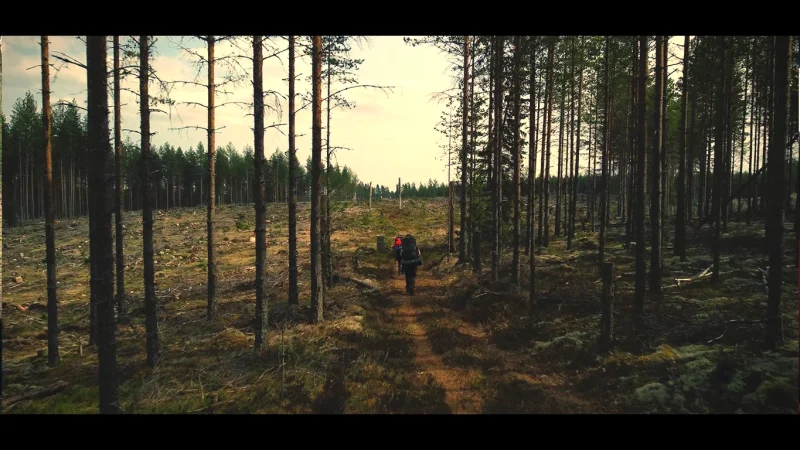 Nature Trails Around the Lake(5)