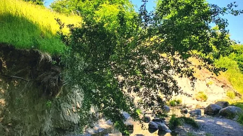 Nature Trails Near Höje River(3)