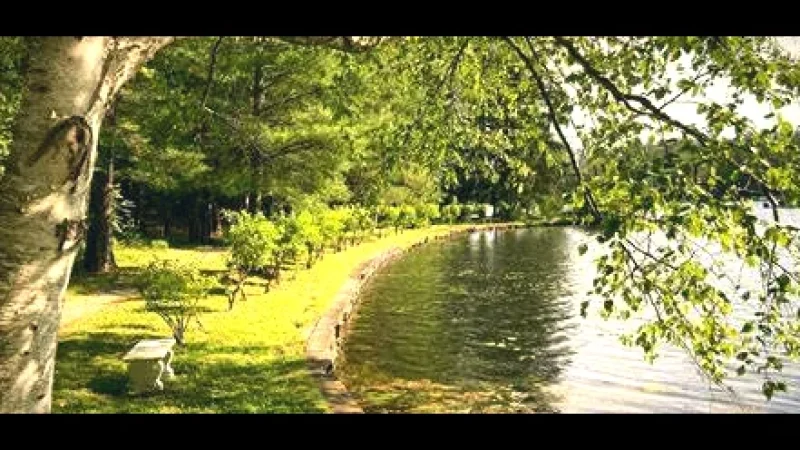 Nature Trails Near Lake(6)