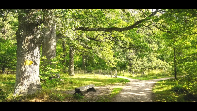 Nature Trails Near Town – Easy walking paths(10)