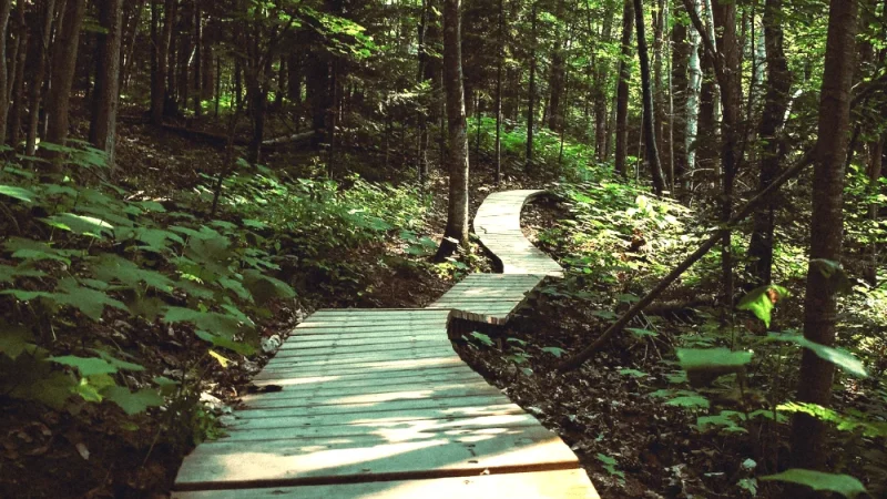 Nature Trails Near Town – Easy walking paths(2)