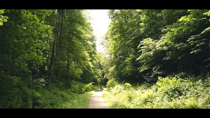 Nature Trails Near Town – Easy walking paths(3)