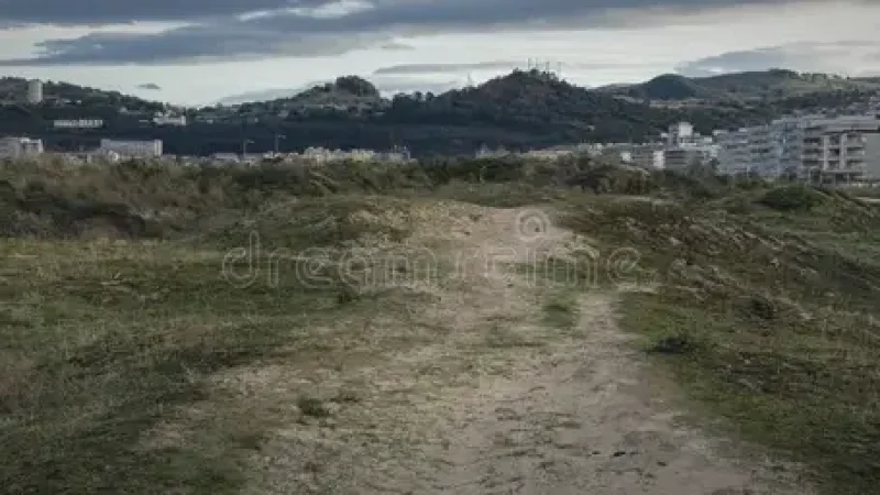 Nature Trails – Coastal & dune paths(3)