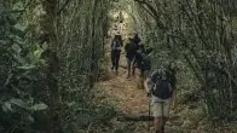Nature Walk Area(4)
