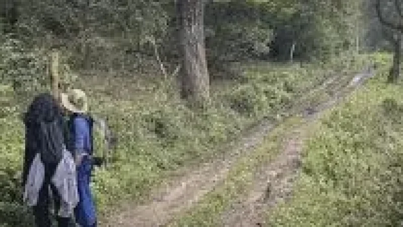 Nature Walk Pat(1)