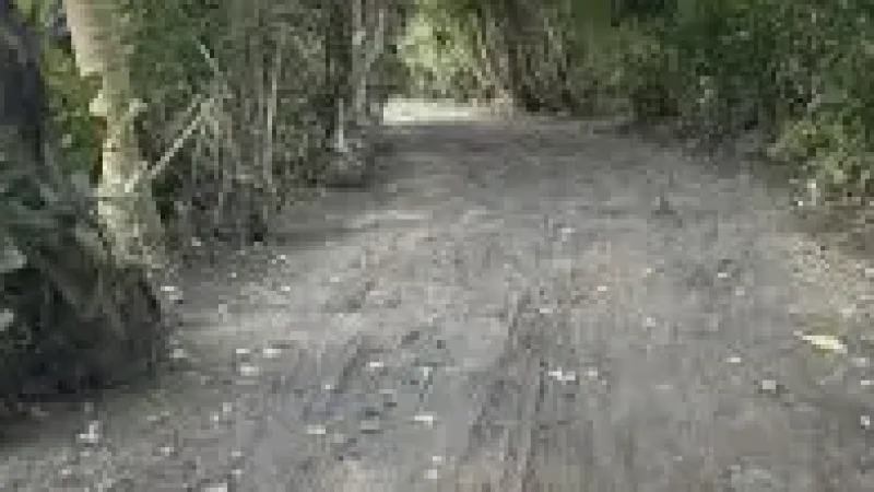 Nature Walk Path – A greener(3)