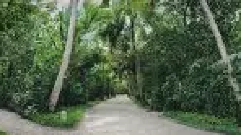 Nature Walk Path – A greenery-filled island(2)
