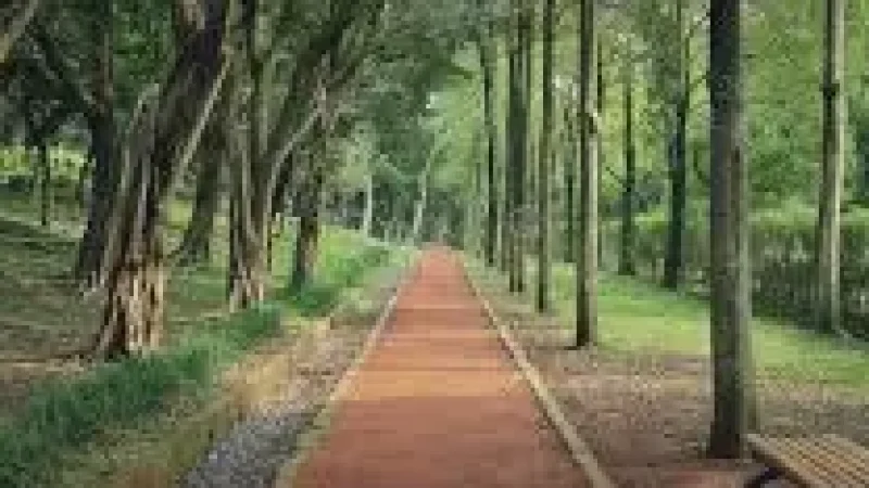 Nature Walk Path – A small greenery path ideal for short(2)