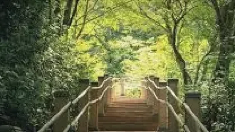 Nature Walk Path – Surrounded by greenery(6)