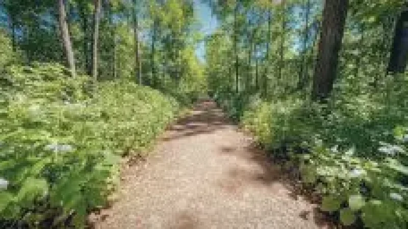 Nature Walk Path – Surrounded by(3)
