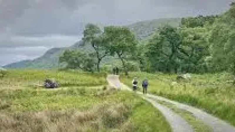 Nature Walk Path – Surrounded by(4)