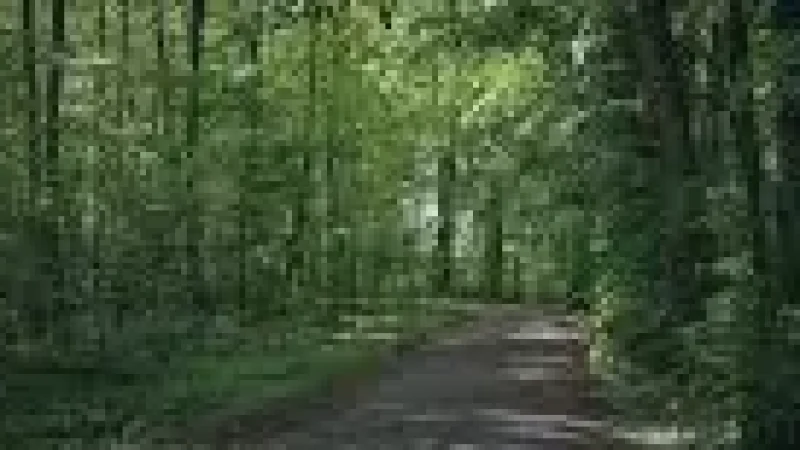 Nature Walk Path –(6)