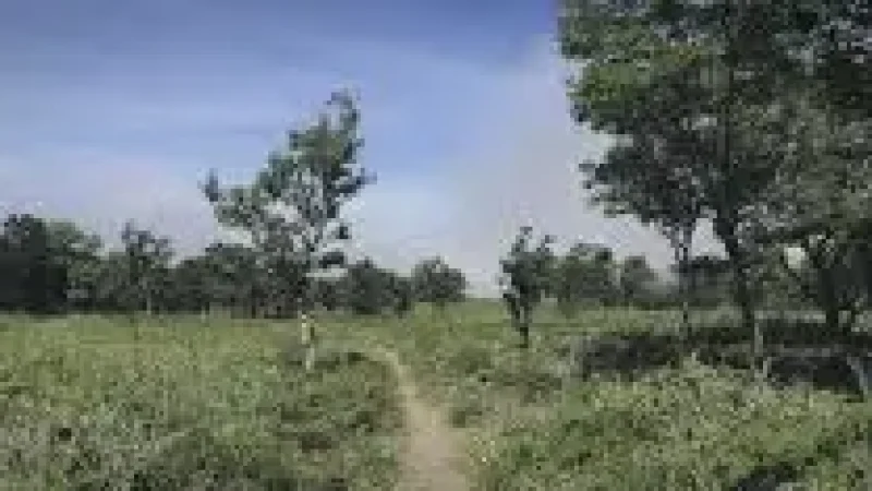 Nature Walk Path(5)