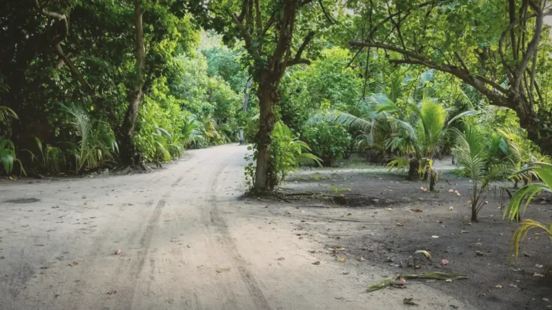 Nature Walk Trail – A short route surrounded by greenery(5)