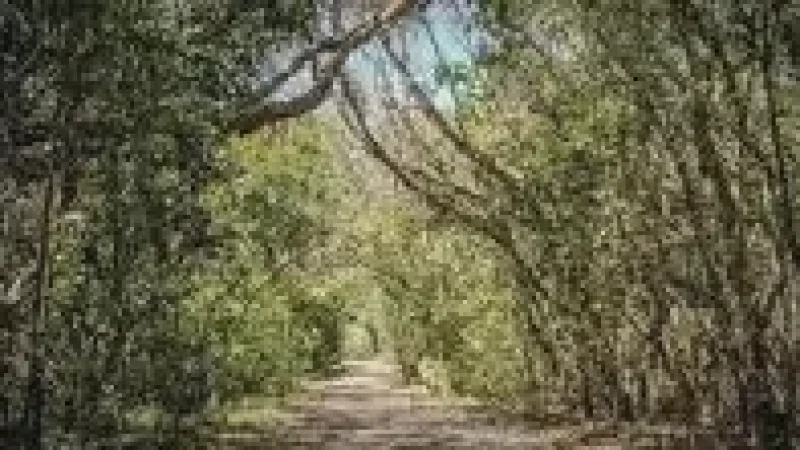 Nature Walk Trail – Surrounded by coastal g(2)