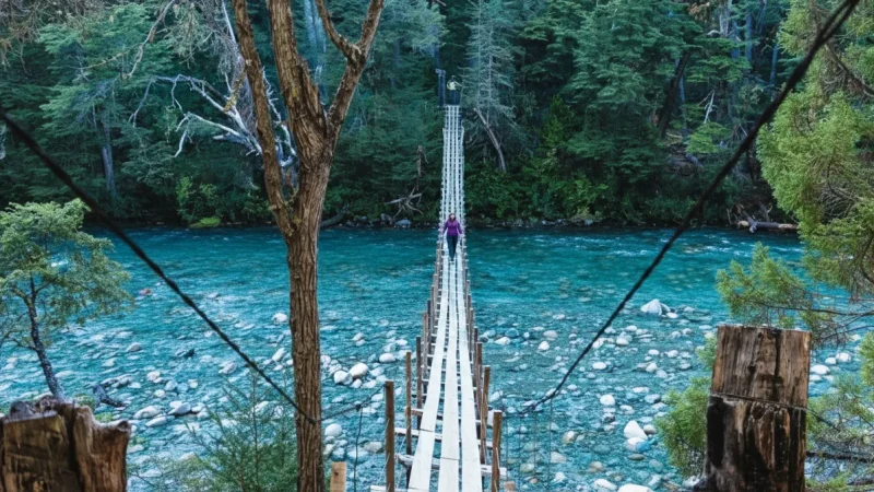 Nature Walking Paths – Easy exploration trails(5)