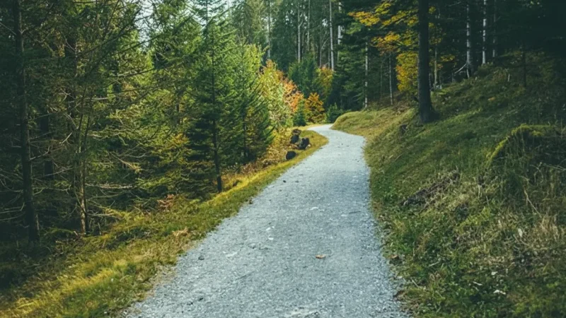 Nature Walking Trails – Marked Paths(3)