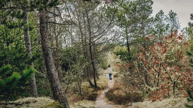 Nature Walking Trails – Marked hiking routes(5)