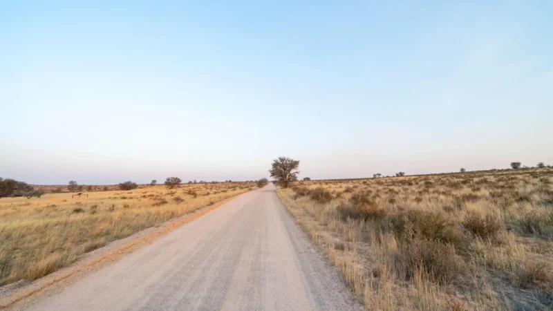 Nature_Drive_Routes_тАУ_Desert_landscape_drives_03
