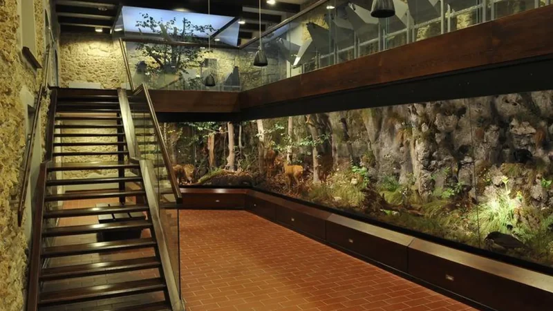 Nature_Education_Centre_06