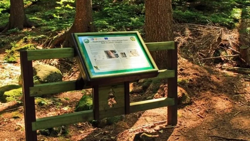 Nature_Education_Paths_05
