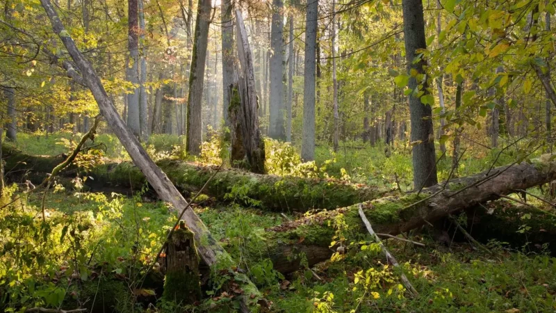 Nature_Photography_Spots_06