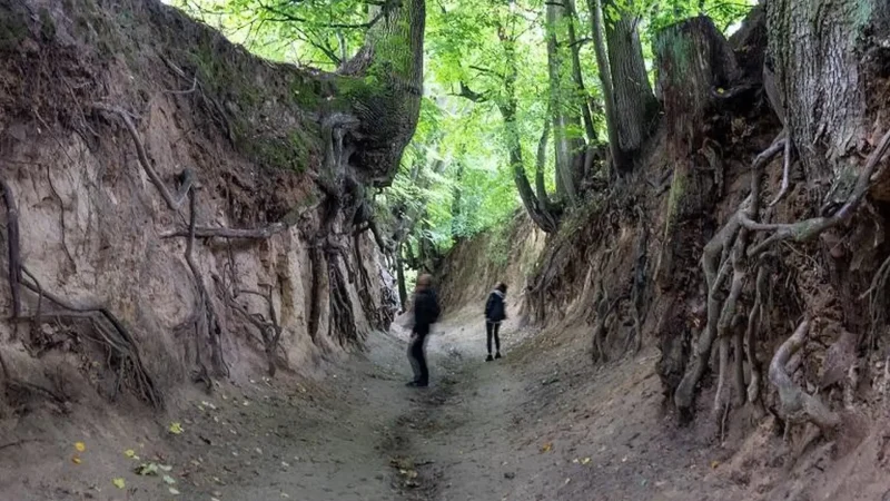 Nature_Ravines_(Korzeniowy_Dół)_02
