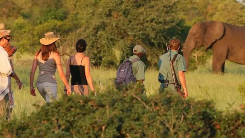Nature_Walking_Trails_тАУ_Controlled_walks_04