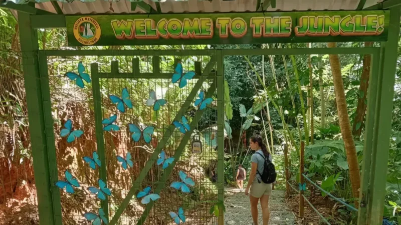 Nauyaca Waterfallsc 003