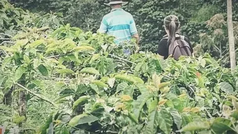 Nearby Coffee Landscapes – Scenic surroundings(1)
